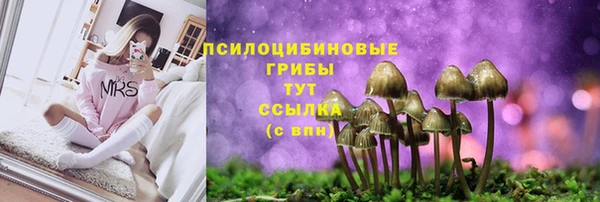 ешки Баксан
