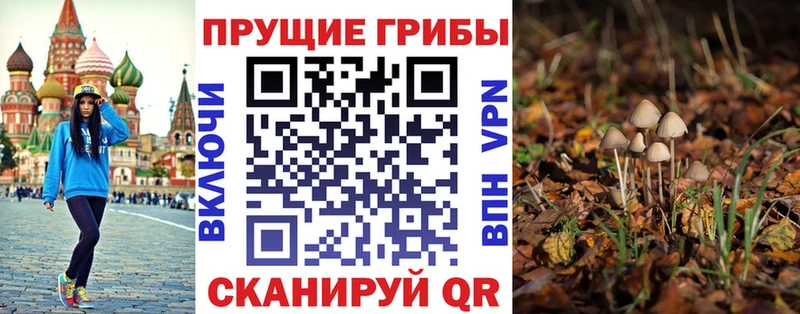 Псилоцибиновые грибы прущие грибы  наркотики  Кунгур 